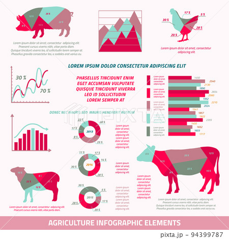 Agriculture infographic elements Agriculture infographic elements 94399787