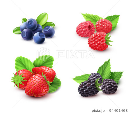 Berry Realistic Set Berry Realistic Set 94401468