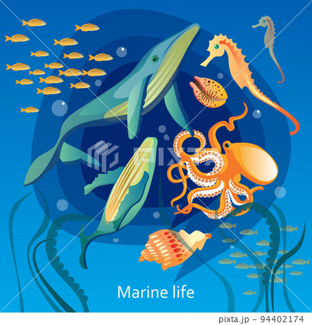 Ocean Underwater Life Illustration Ocean Underwater Life Illustration 94402174