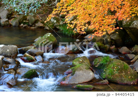 紅葉と川の流れ 94405415