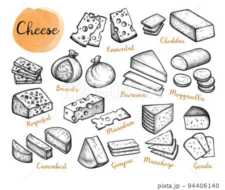 Cheese ink sketches set. 94406140