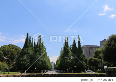 明治神宮外苑のイチョウ並木 94406364