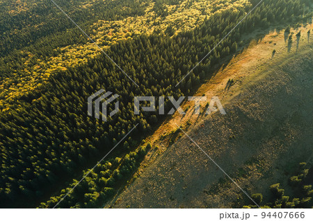 Aerial view of dark mixed pine and lush forest with green and yellow trees canopies in autumn mountain woods Aerial view of dark mixed pine and lush forest with green and yellow trees canopies in autumn mountain woods 94407666