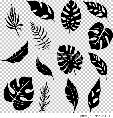 set of black silhouettes of tropical leaves, isolated elements, decor set of black silhouettes of tropical leaves, isolated elements, decor 94408191