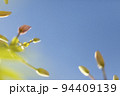 Colorful Blur Flower in the Garden with Bokeh, abstract blurred flower background 94409139