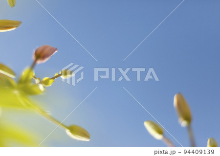 Colorful Blur Flower in the Garden with Bokeh, abstract blurred flower background 94409139