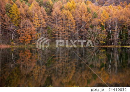 御射鹿池の紅葉 94410052