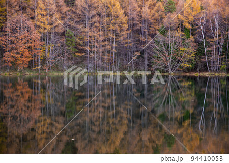 御射鹿池の紅葉 94410053