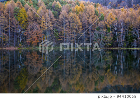 御射鹿池の紅葉 94410058