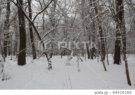 Snow winter in the forest, after blizzard, winter lake Snow winter in the forest, after blizzard, winter lake 94410160