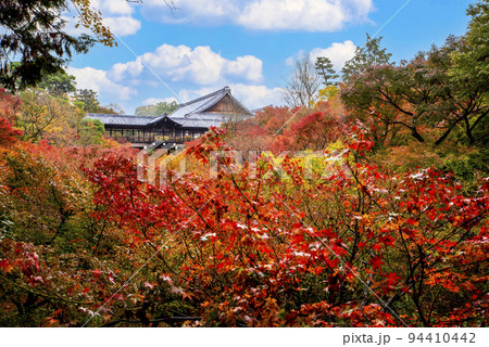 大本山 東福寺 　通天橋から望む紅葉 94410442