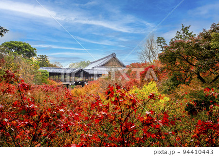大本山 東福寺 　通天橋から望む紅葉 94410443