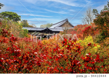 大本山 東福寺 通天橋から望む紅葉 大本山 東福寺 通天橋から望む紅葉 94410444