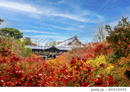 大本山 東福寺 　通天橋から望む紅葉 94410445