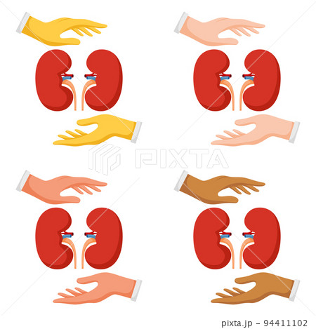 Set of hands gestures with kidney Set of hands gestures with kidney 94411102