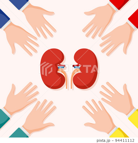 Set of hands gestures with kidney Set of hands gestures with kidney 94411112