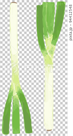 Green onion Green onion 94412548