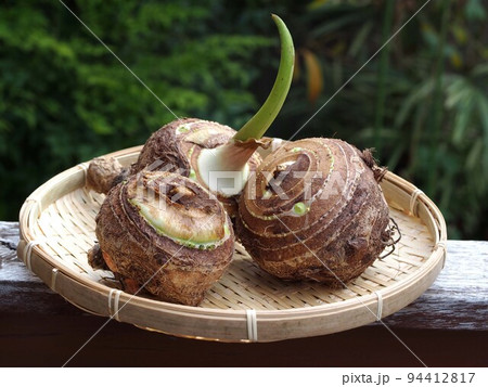 ざるに載せた里芋 94412817