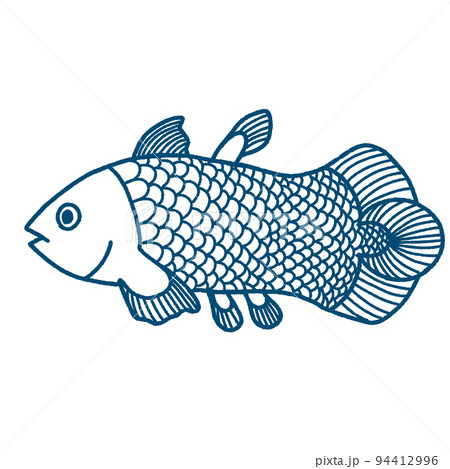 シーラカンス線画 94412996