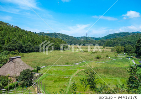 中池見湿地　福井県敦賀市 94413170