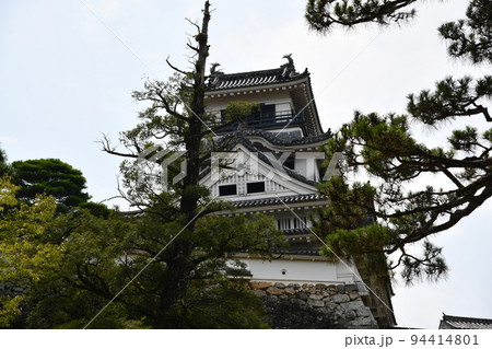 夏の高知城 94414801