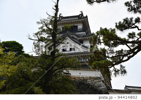 夏の高知城 夏の高知城 94414802