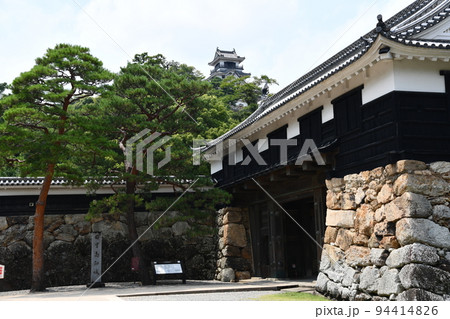 夏の高知城 夏の高知城 94414826