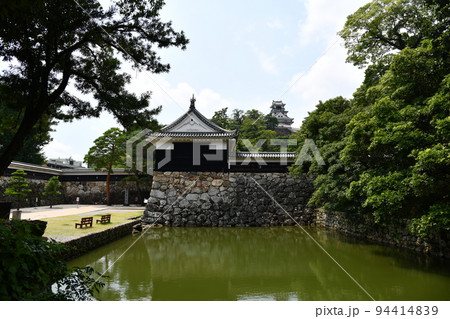 夏の高知城 夏の高知城 94414839