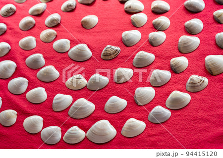 平安時代から伝わる日本の遊びの貝合わせ 平安時代から伝わる日本の遊びの貝合わせ 94415120