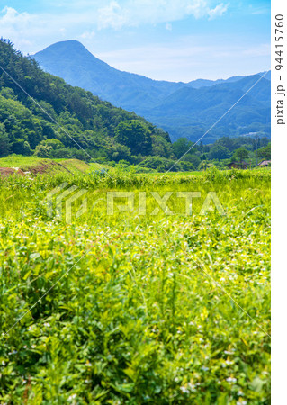 里山の風景　道木佐山沼田線　みなかみ町付近　初夏の季節 94415760