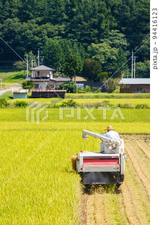 稲刈り 稲刈り 94416123