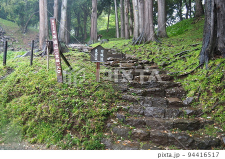 雨の石垣山一夜城跡、旧城道東登口【神奈川県小田原市】 94416517