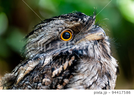 神戸どうぶつ王国 94417586