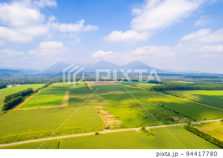 ドローン撮影｜北海道の大地に広がる黄金色に輝くトウモロコシ畑と広大な畑 94417780