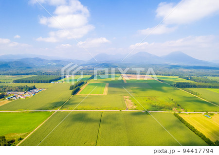 ドローン撮影｜北海道の大地に広がる黄金色に輝くトウモロコシ畑と広大な畑 94417794
