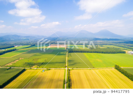 ドローン撮影｜北海道の大地に広がる黄金色に輝くトウモロコシ畑と広大な畑 94417795