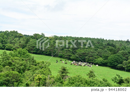 八ヶ岳まきば公園 94418002