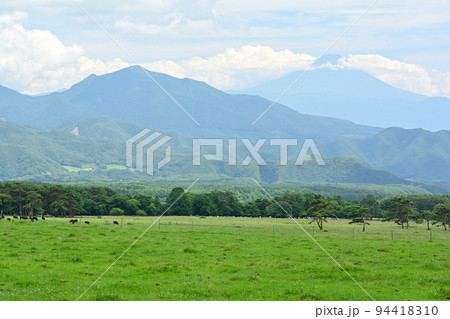八ヶ岳まきば公園と富士山 八ヶ岳まきば公園と富士山 94418310