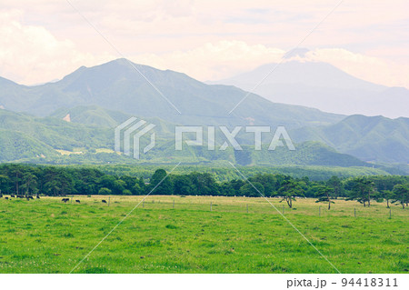 八ヶ岳まきば公園と富士山 八ヶ岳まきば公園と富士山 94418311