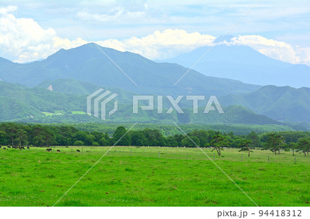 八ヶ岳まきば公園と富士山 八ヶ岳まきば公園と富士山 94418312