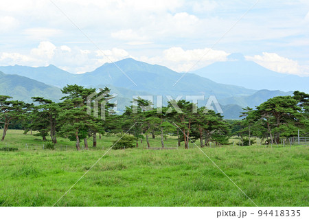 八ヶ岳まきば公園と富士山 94418335