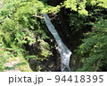 奥深い岩肌に小さな滝が流れている 94418395