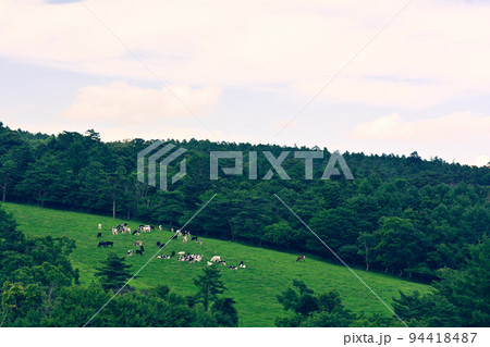 八ヶ岳まきば公園 八ヶ岳まきば公園 94418487