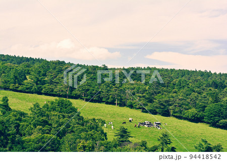 八ヶ岳まきば公園 94418542