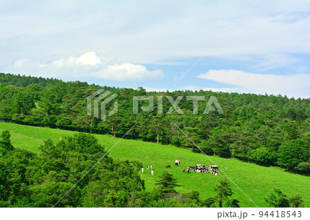 八ヶ岳まきば公園 94418543