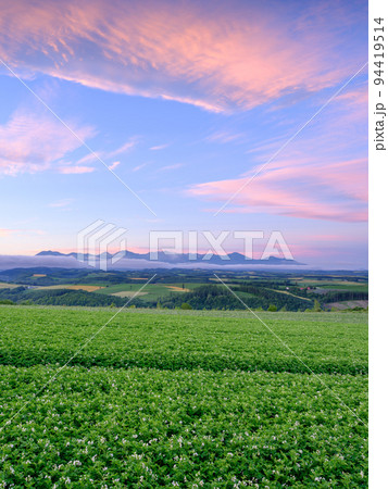 北海道_朝焼けの空と十勝連峰 94419514