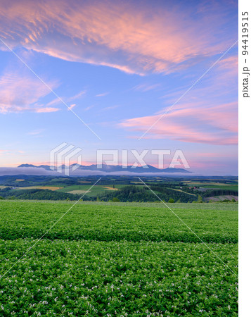 北海道_朝焼けの空と十勝連峰 94419515