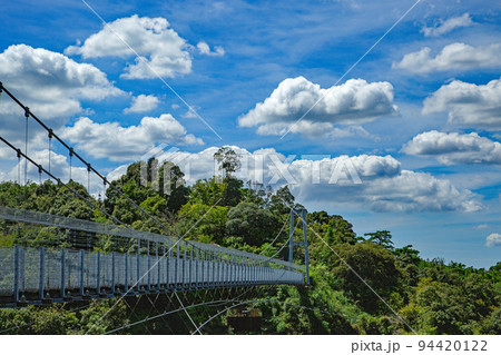 浜北森林公園の吊橋（空の散歩道） 94420122