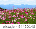 山とコスモス 94420148