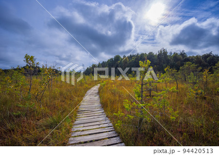 Path along the swamp in Lithuania, Varnikai Path along the swamp in Lithuania, Varnikai 94420513